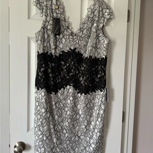 Tadashi Shoji SZ 18 Gray Lining & Black Lace V-Neck Scallop Edged Midi Dress NWT